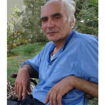 ivo